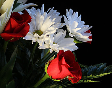 red roses thumbnail