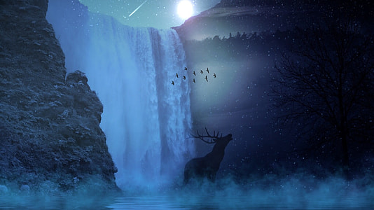 Reindeer and water fall during night time thumbnail