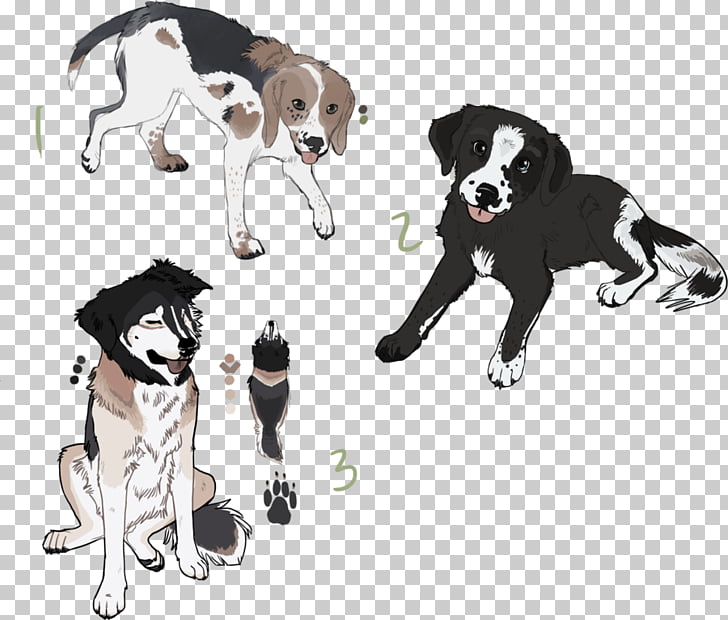 Dog Breed Puppy Leash Paw Border Collie Labrador Mix Png Clipart