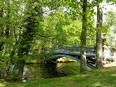 gray bridge surrounded with green trees thumbnail