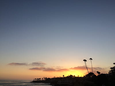 silhouette photograph of palm trees during golden hour thumbnail