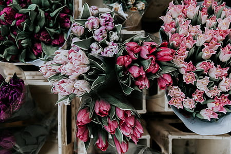 bouquet of red and pink flowers thumbnail