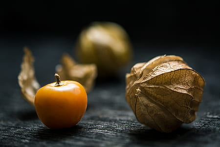 physalis fruit thumbnail