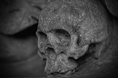 human skullhead grayscale photo thumbnail
