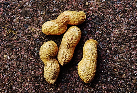 four peanuts thumbnail