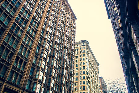 Photo of High-rise Buildings thumbnail
