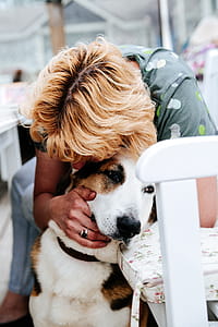 Woman in Gray Floral T-shirt Hugging White and Tan Dog thumbnail