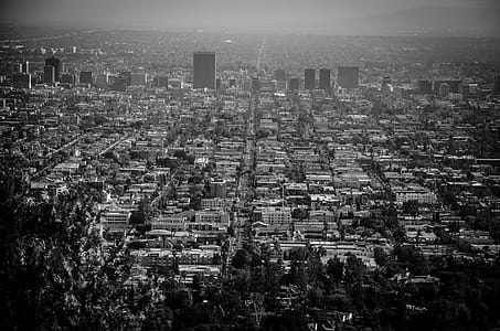 Grayscale Photo of  High-rise Buildings thumbnail