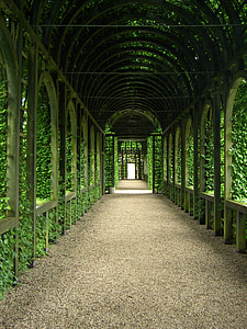 photo of hallway with green leaf plants thumbnail