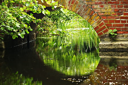 body of water under brown concrete bridge during daytime thumbnail