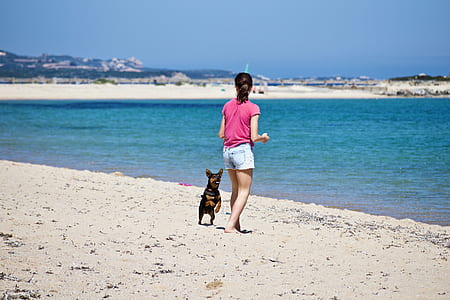 woman together with dog at the seashore thumbnail