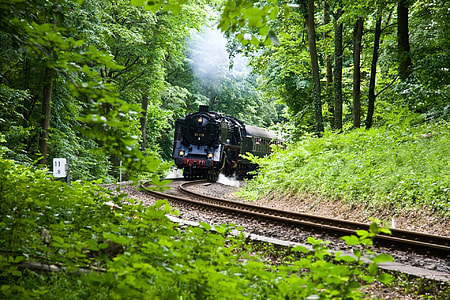 train on trail thumbnail