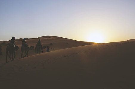 three person riding on camel on desert thumbnail