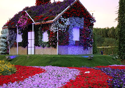 brown and white wooden house covered with assorted-color petaled flowers thumbnail