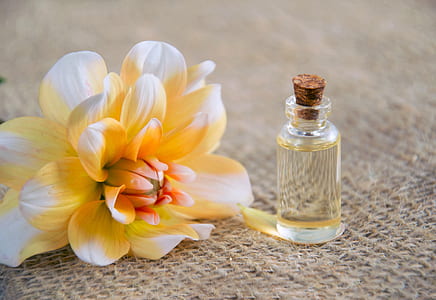 clear liquid filled glass bottle thumbnail
