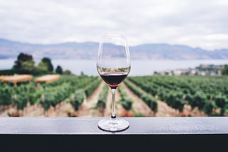 Red wine thumbnail