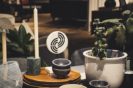 Green Leafed Plant in White Pot Beside White Candle thumbnail