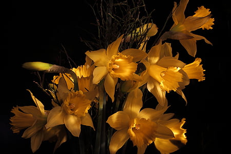 blooming orange flower thumbnail