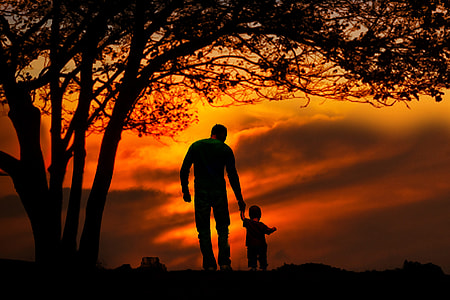 silhouette of man and children under leaved tree during sunset thumbnail