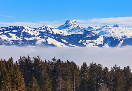 Scenic View of Mountains thumbnail