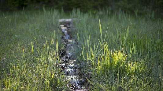 pathway in the middle of grass during daytime thumbnail