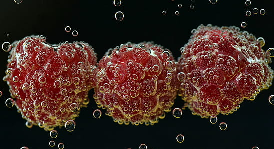 microorganism wallpaper thumbnail