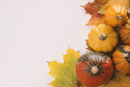 Pumpkins on white background with the autumn leaves thumbnail