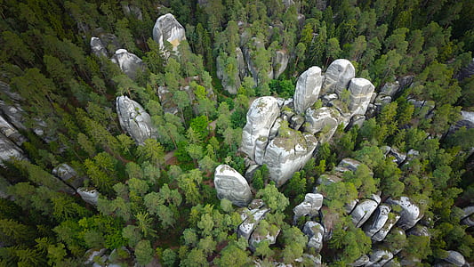 high-angle view of white concrete stands surrounded by trees thumbnail