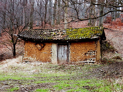brown concrete house in the forest thumbnail