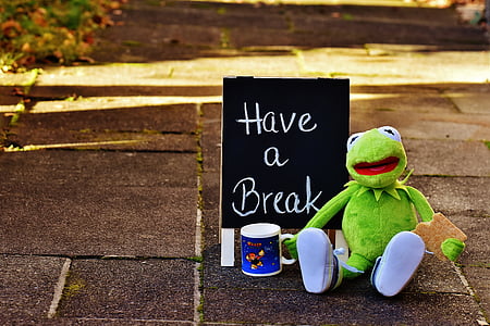 Kermit the Frog plush toy beside black and white Have A Break-printed chalkboard signage thumbnail