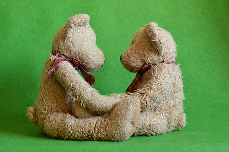 cute, toys, teddy, teddy bears thumbnail