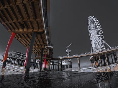 selective color photography of dock pillar near ferris wheel thumbnail