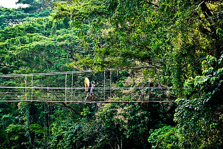 person crossing on gray bridge near trees thumbnail