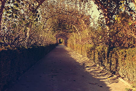 photo of tunnel interior thumbnail