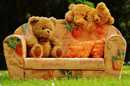 two bear plush toys in sofa thumbnail
