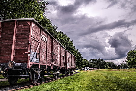 brown train on railway thumbnail