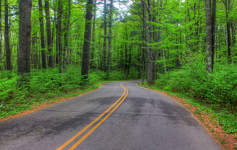 Road to Council Grounds thumbnail