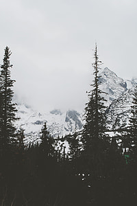 snow covered mountain near trees thumbnail