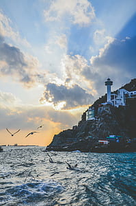 White Lighthouse Near Body of Water thumbnail