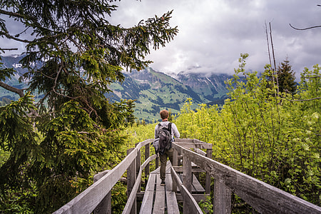 person walking across the bridge during daytime thumbnail