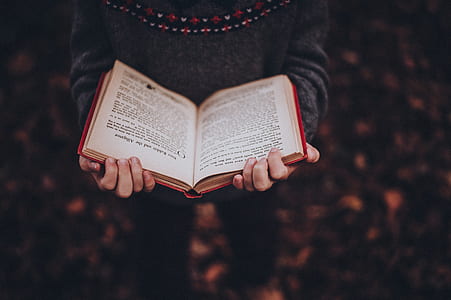 person holding opened book thumbnail