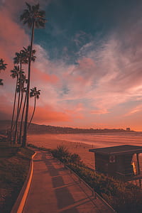 landscape shot of seashore thumbnail