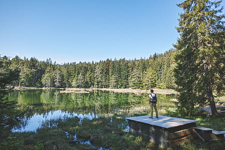 person standing on dock beside body of water under blue sky thumbnail