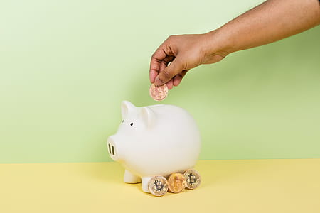 Bitcoin Into Piggy Bank Photo thumbnail