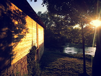 sunlight passing through trees into wooden house during golden hour thumbnail