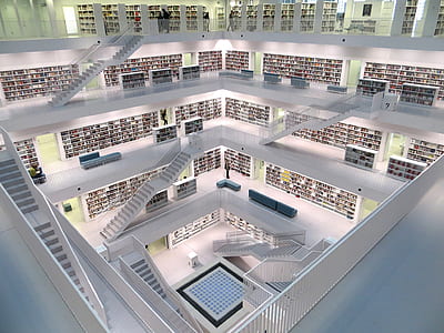 White Concrete Tall Building With Books thumbnail