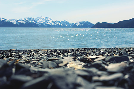 focus photography of beach shore gravels thumbnail