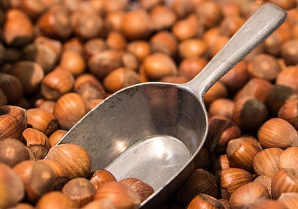gray scoop on coffee beans thumbnail
