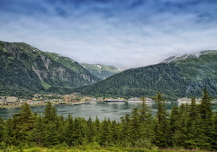 green trees and lake thumbnail