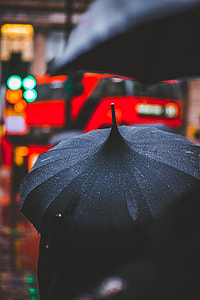 person holding using black umbrella while raining walking outside during daytime thumbnail